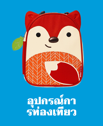 activity & play gyms