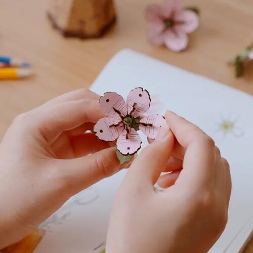 Rolife Sakura