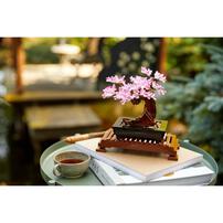 LEGO Botanical Collection Bonsai Tree 10281