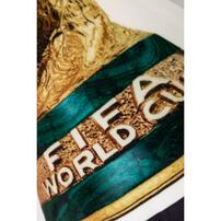 FIFA Trophy Cushion