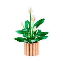 LEGO Botanicals Peace Lily 11504