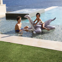 Intex Brontosaurus Ride-On