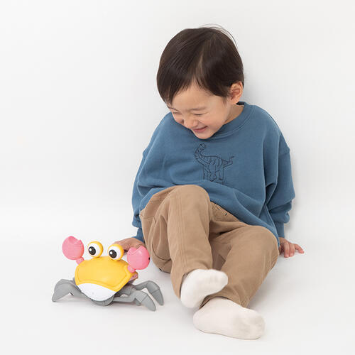 playpop Singing & Moving Crab Toy