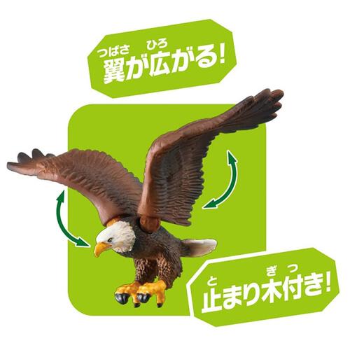 Takara Tomy Ania Animal AS-05 Bald Eagle