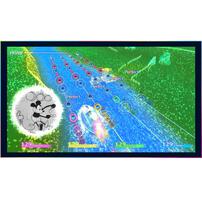 Nintendo Switch Disney Music Parade: Encore