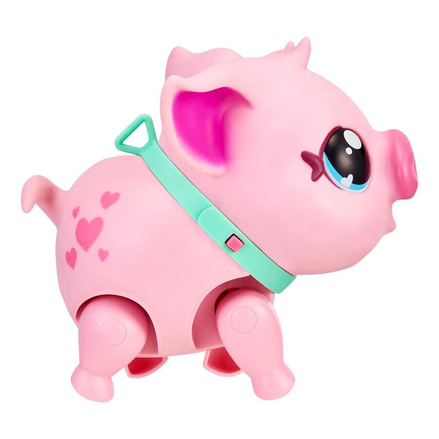 Little live pets 2024 pig