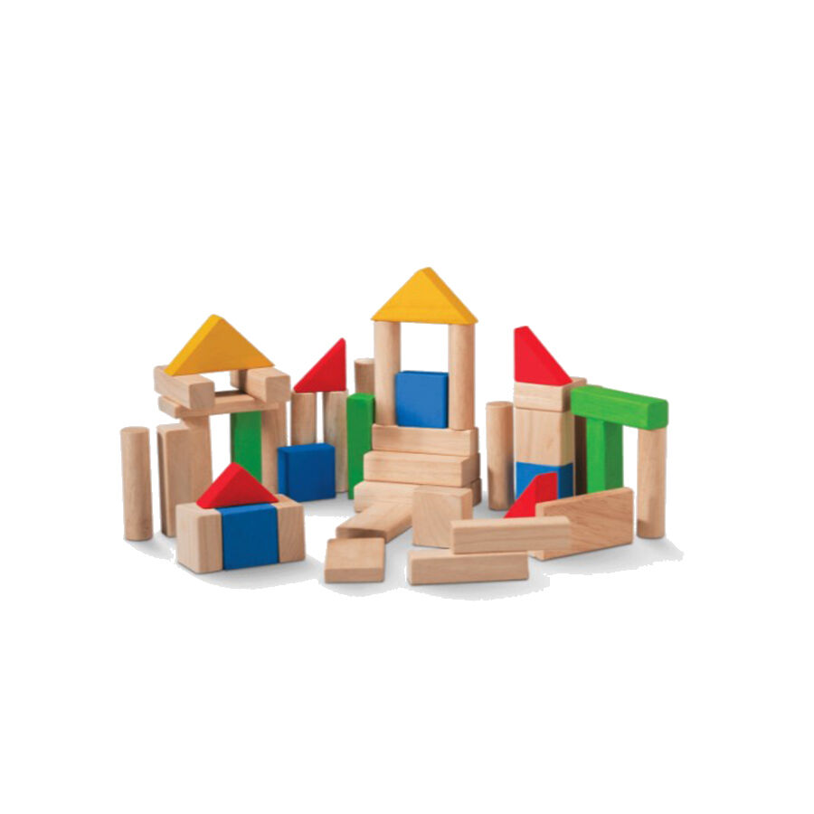 Plan toys deals 50 blocks