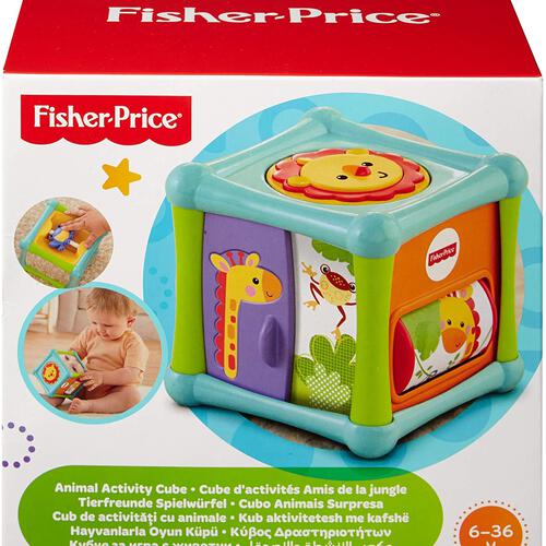 Fisher-Price -Infant Activity Block