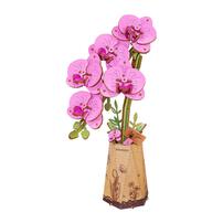 Rolife Purple Moth Orchid 