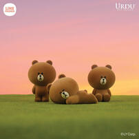 Line Friends Meets Urdu กล่องสุ่ม Flocking Series - คละแบบ