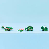 LEGO Creator 3 in 1Turtle with a Water Lily Flower 31377