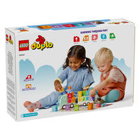 LEGO Duplo Alphabet Truck 10421