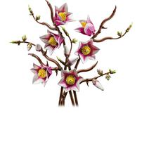 LEGO Botanicals Magnolia Branches 11510