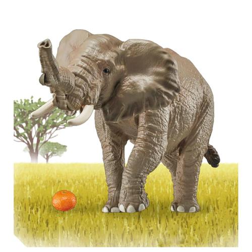 Takara Tomy ANIA Animal AS-02 African Elephant (with Orange)