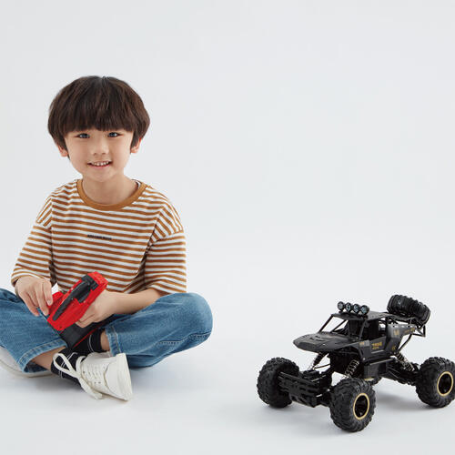 playpop Radio Controlled Big Wheel Crawler