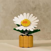 (พรีออเดอร์) Oxford G-Dragon 818 Bloom Bricks (คาดว่าจะจัดส่งปลายเดือนเมษายน 2026)