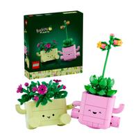LEGO Botanicals Rocking Plants 11506