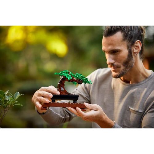 LEGO Botanical Collection Bonsai Tree 10281