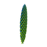 Squeezy Flexy Stretchy - Assorted