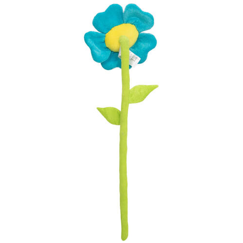 Friends For Life เฟรนด์ ฟอร์ ไลฟ์ ดอกไม้สีน้ำเงินบานสะพรั่ง