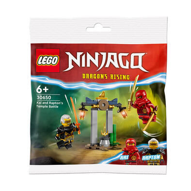 LEGO Ninjago Kai and Rapton's Temple Battle 30650