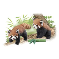 Takara Tomy Ania Animal AS-35 Red Panda With Bamb