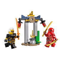 LEGO Ninjago Kai and Rapton's Temple Battle 30650