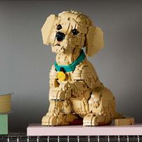 LEGO Icon Golden Retriever Puppy 11384