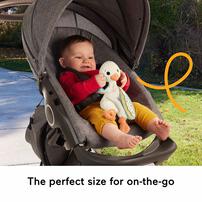 Fisher-Price ฟิชเชอร์ไพรซ์ ตุ๊กตาห่าน