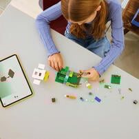 LEGO Minecraft Chicken Farm 21585