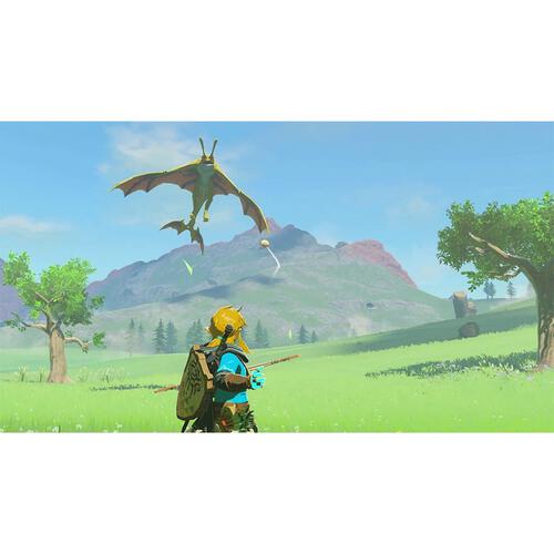  Nintendo Switch The Legend of Zelda&trade;: Tears of the Kingdom