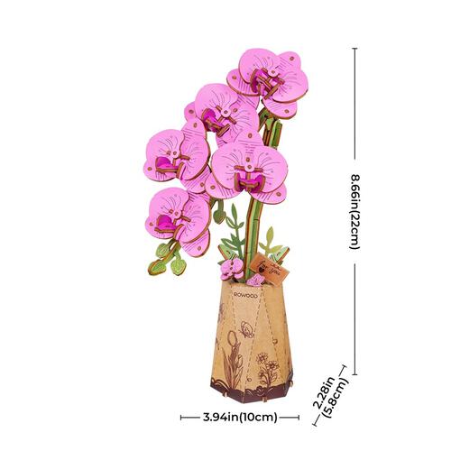 Rolife Purple Moth Orchid 