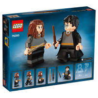 Lego Harry Potter Harry Potter & Hermione Granger 76393