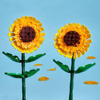 LEGO Creator Sunflowers 40524 
