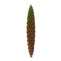 Squeezy Flexy Stretchy - Assorted
