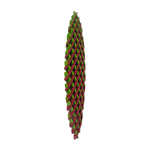Squeezy Flexy Stretchy - Assorted