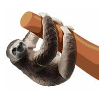 Takara Tomy Ania Animal AS-26 Sloth