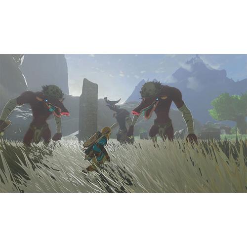  Nintendo Switch The Legend of Zelda&trade;: Tears of the Kingdom
